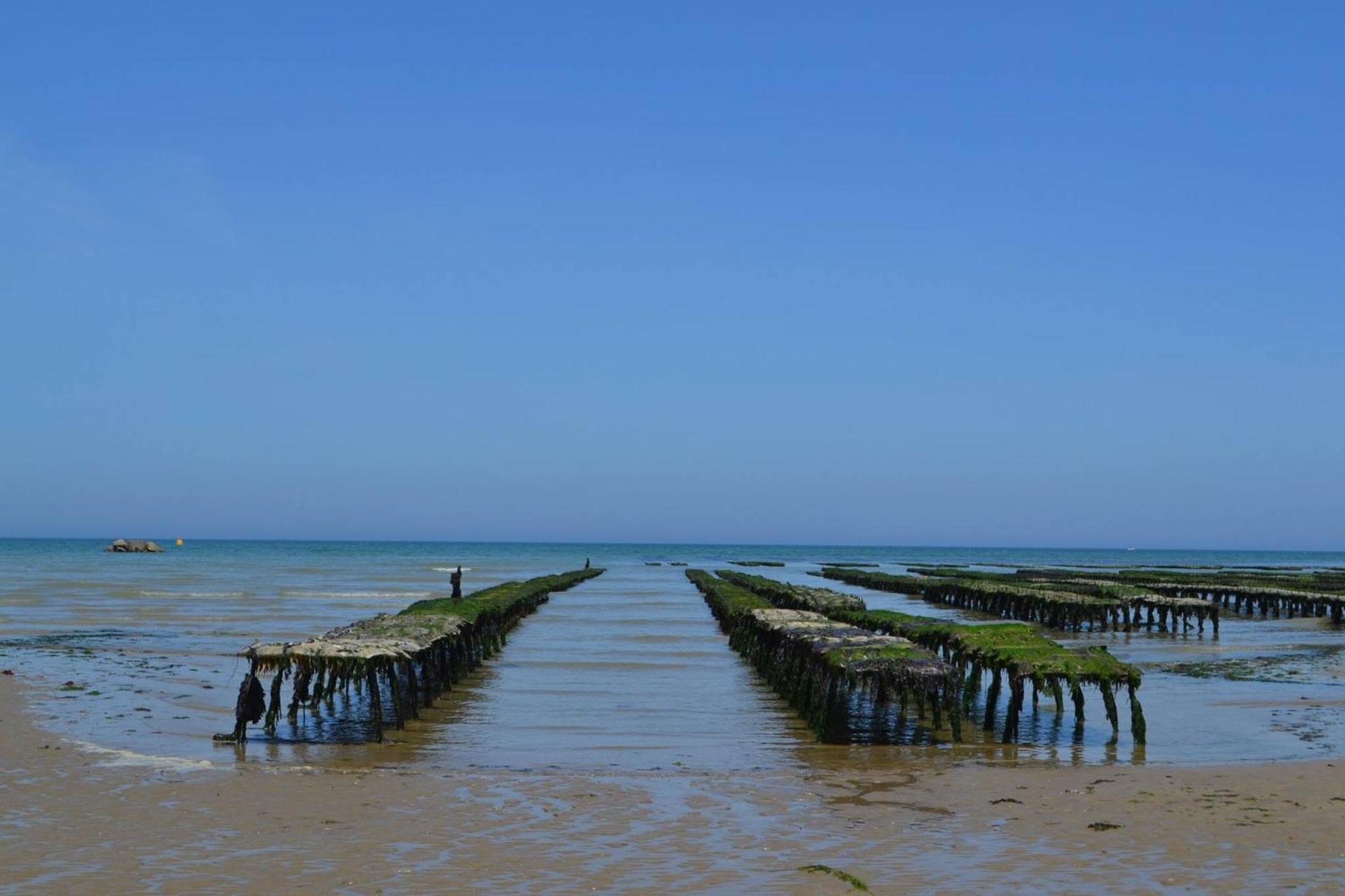 Les Pommiers Duplex Cosy Tout Confort Dans Maison Neuve Avec Terrasse Entree Independante 5 Mn De Bayeux Et 10 Mn Plage Du Debarquement Sommervieu Exteriör bild